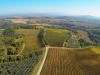 marsciano-vineyard-8
